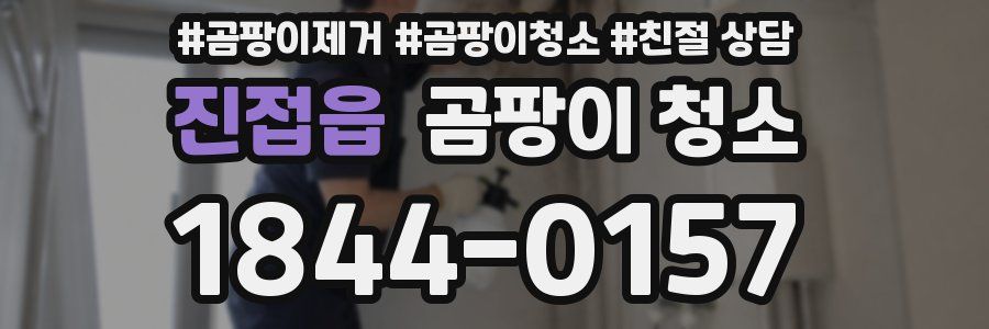진접읍 곰팡이 청소