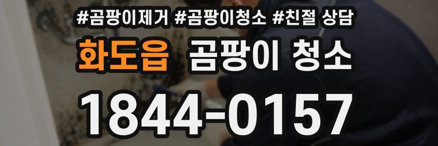 화도읍 곰팡이 청소
