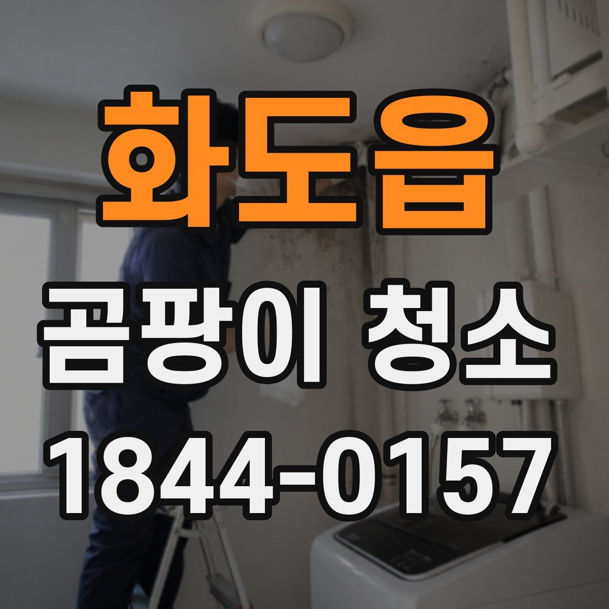 화도읍 곰팡이 청소