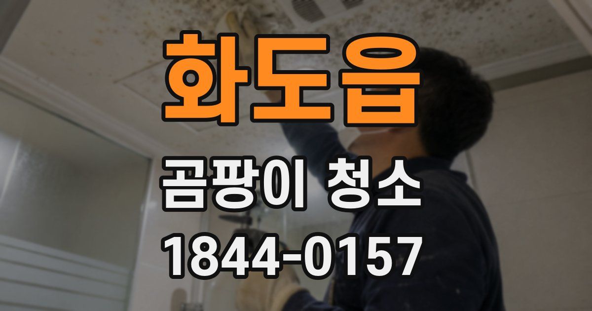 화도읍 곰팡이 청소