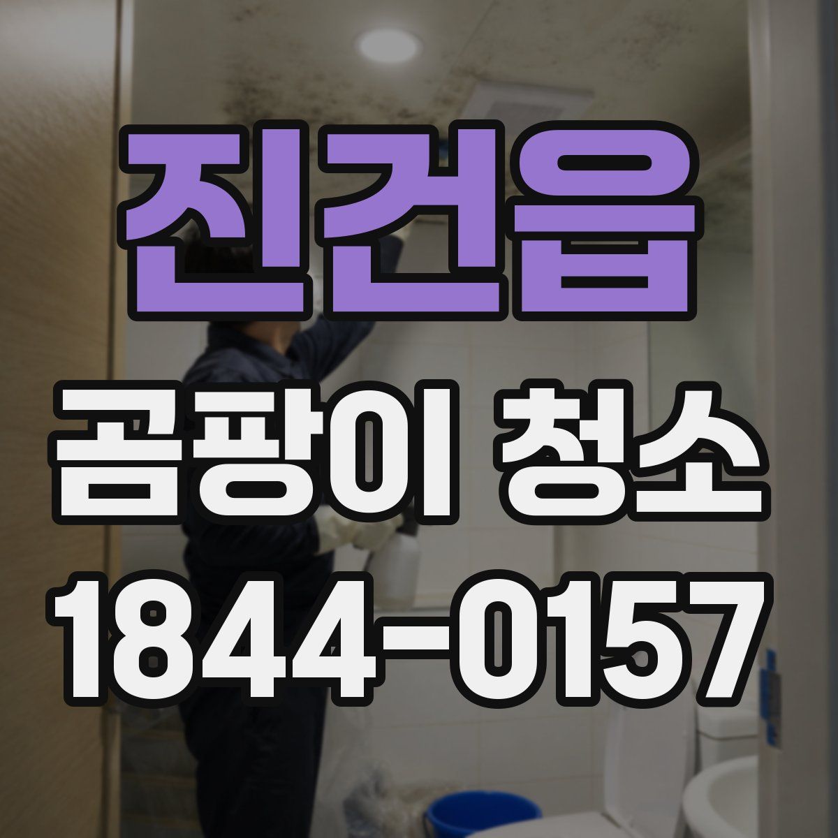 진건읍 곰팡이 청소