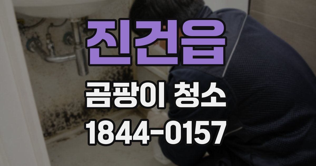 진건읍 곰팡이 청소