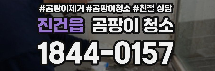 진건읍 곰팡이 청소