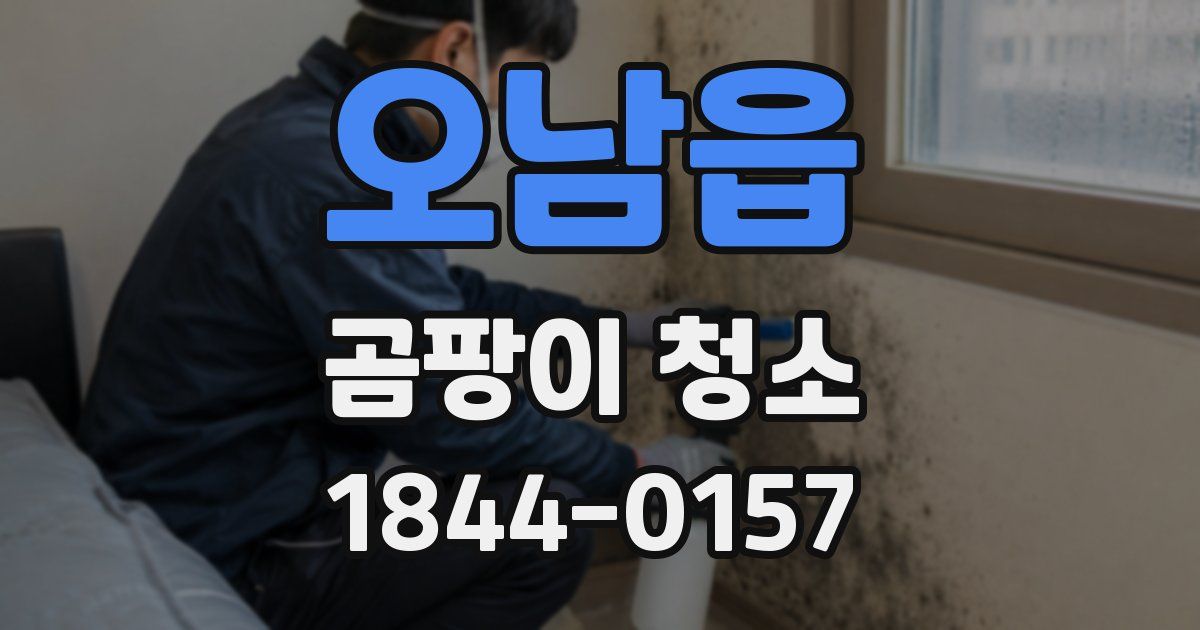 오남읍 곰팡이 청소