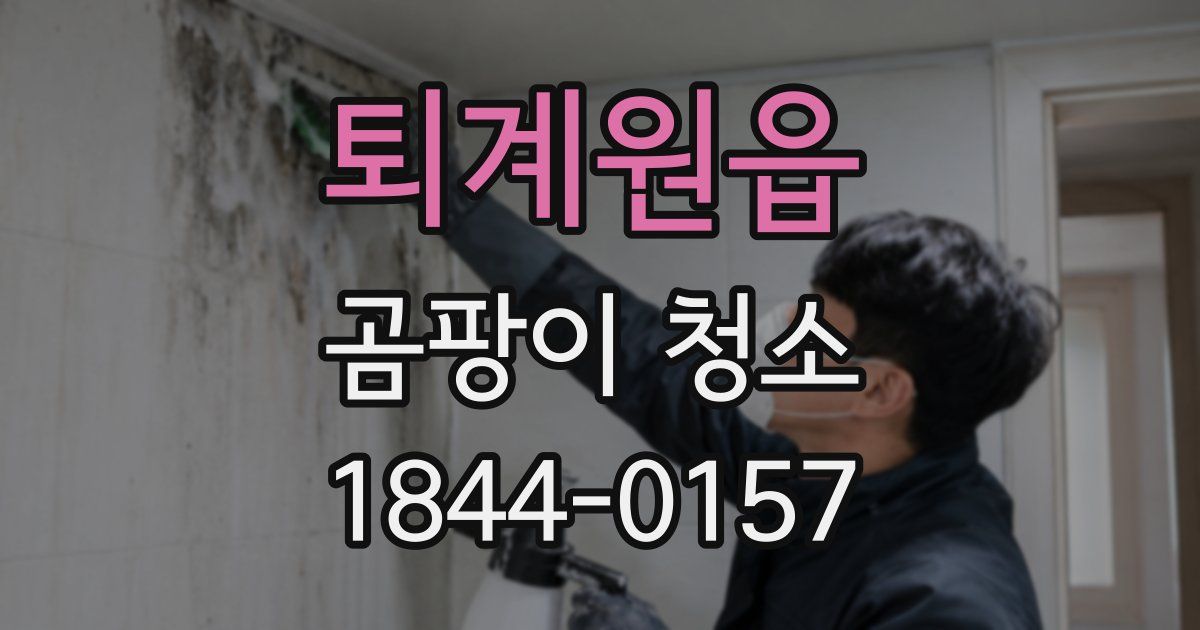 퇴계원읍 곰팡이 청소