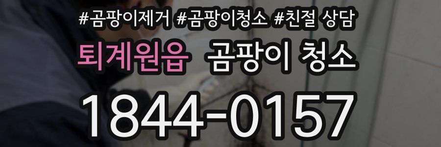 퇴계원읍 곰팡이 청소