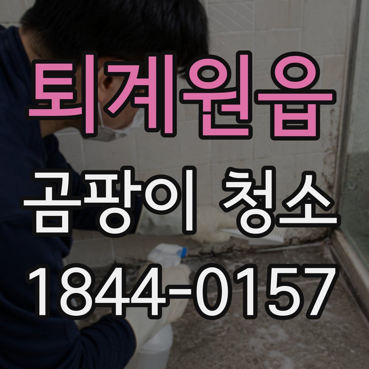 퇴계원읍 곰팡이 청소