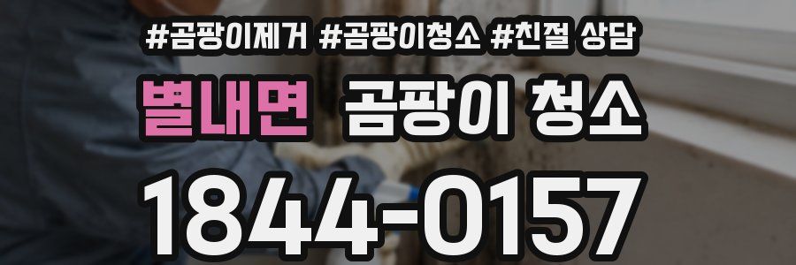 별내면 곰팡이 청소