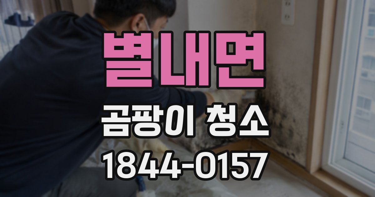 별내면 곰팡이 청소