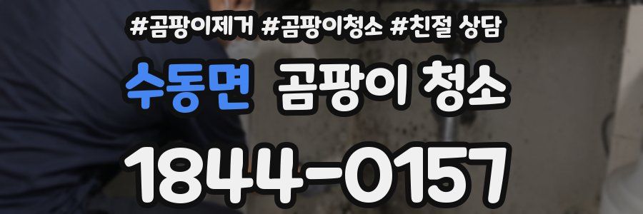 수동면 곰팡이 청소