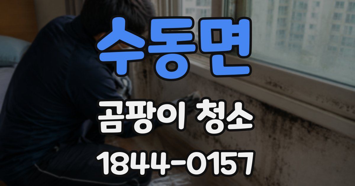 수동면 곰팡이 청소