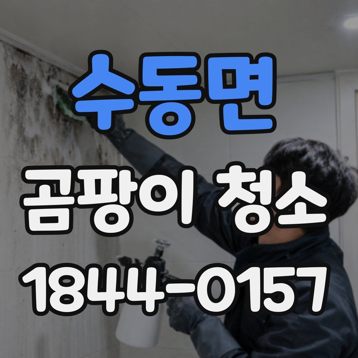 수동면 곰팡이 청소