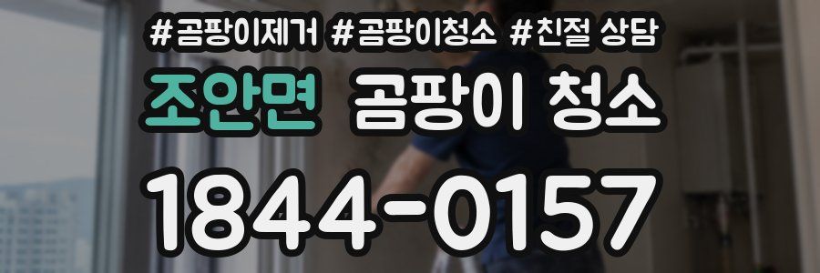 조안면 곰팡이 청소