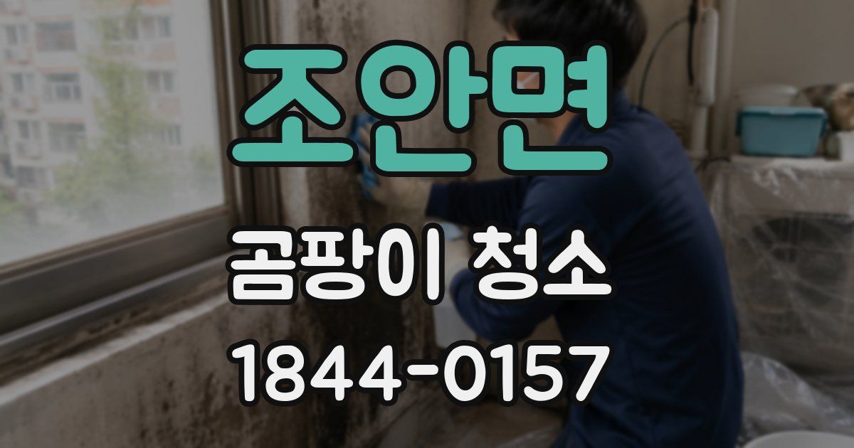 조안면 곰팡이 청소