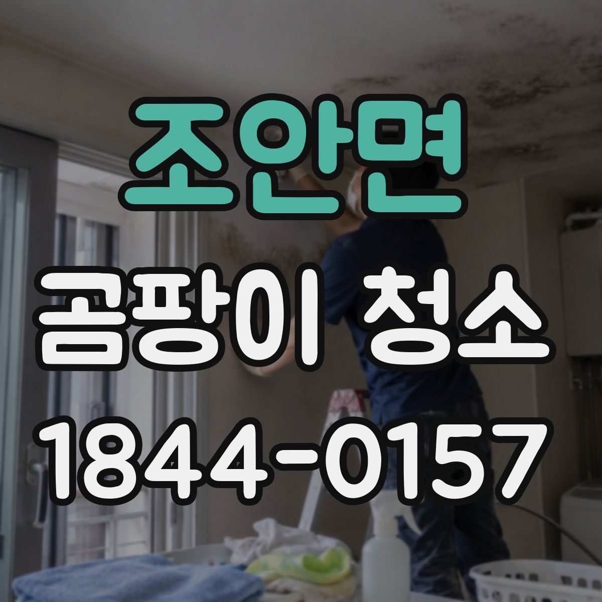 조안면 곰팡이 청소