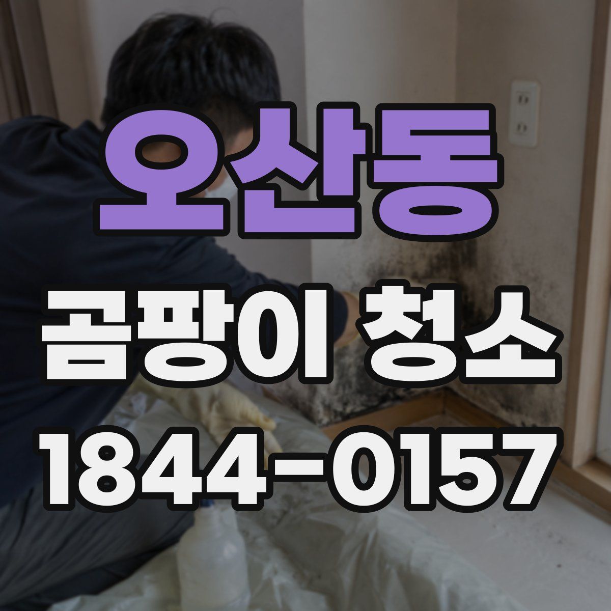 오산동 곰팡이 청소