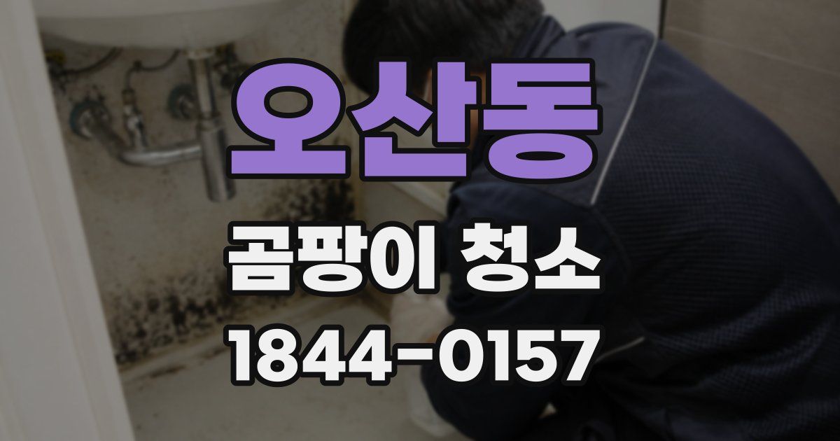 오산동 곰팡이 청소