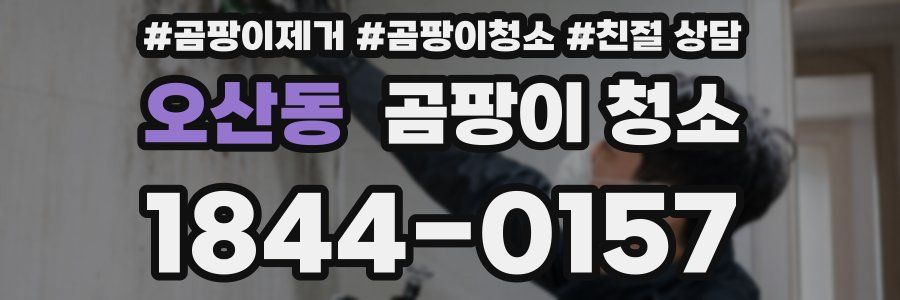 오산동 곰팡이 청소