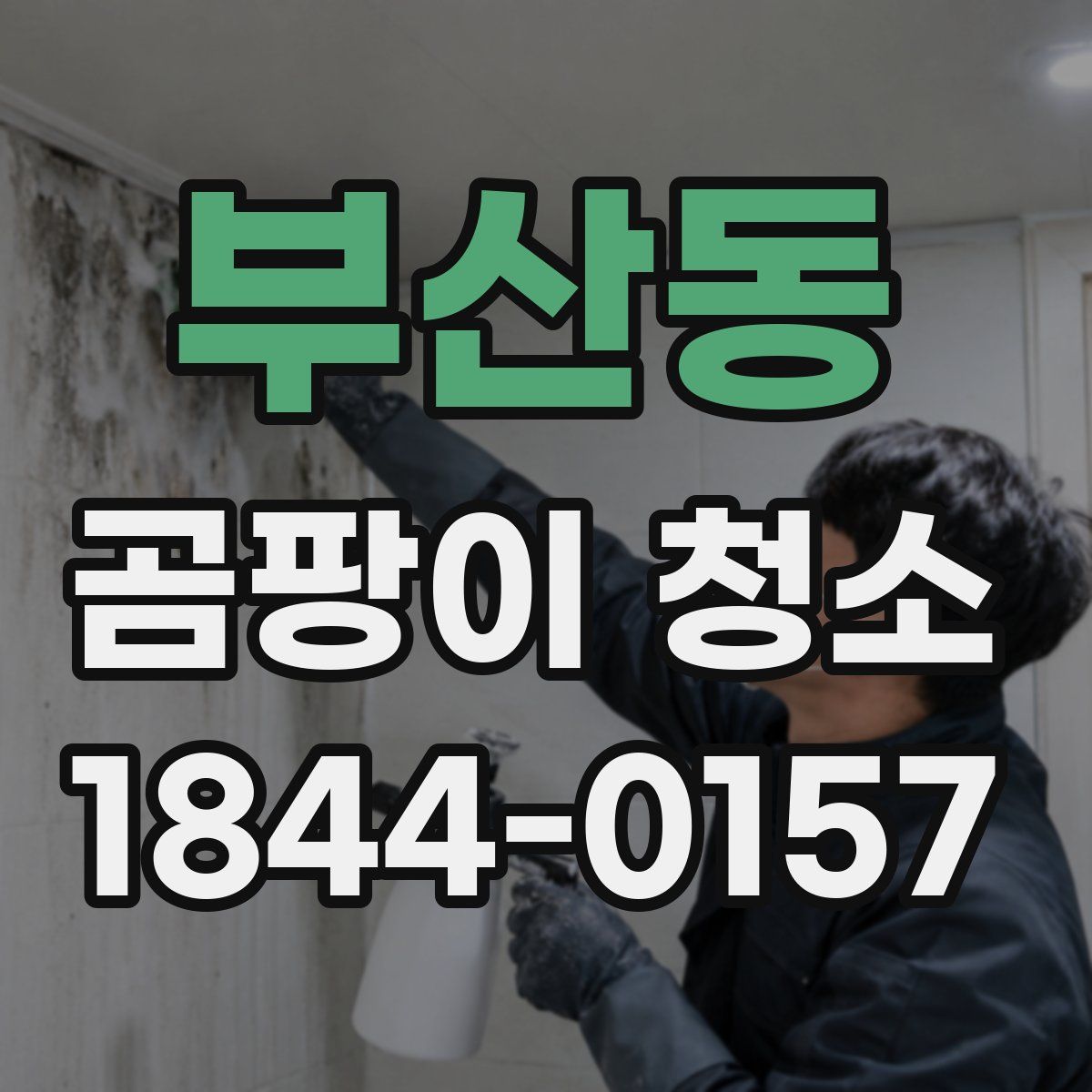 부산동 곰팡이 청소