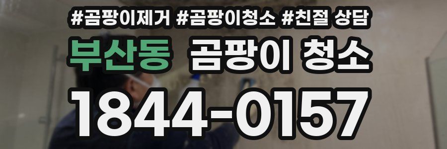 부산동 곰팡이 청소
