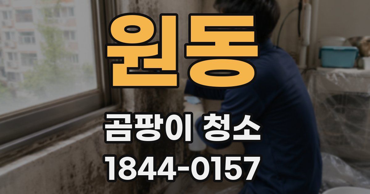 원동 곰팡이 청소