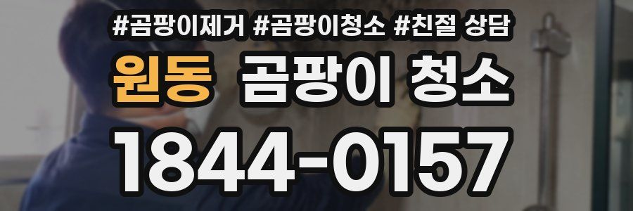 원동 곰팡이 청소