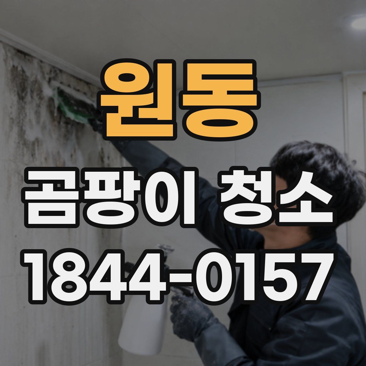 원동 곰팡이 청소