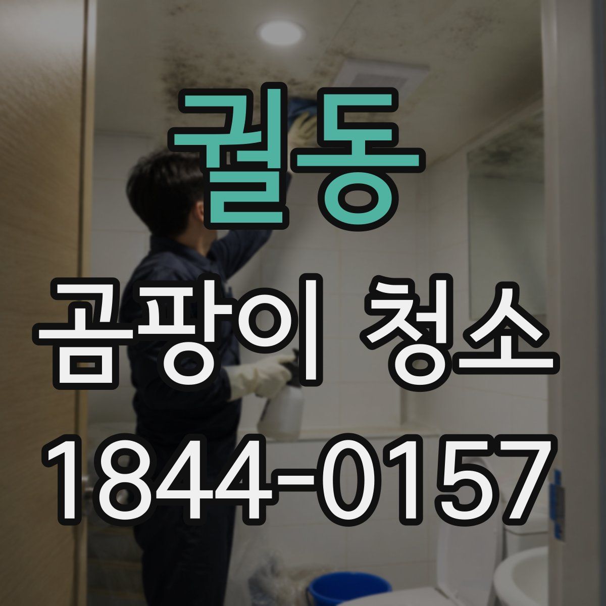 궐동 곰팡이 청소