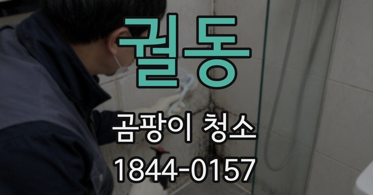 궐동 곰팡이 청소