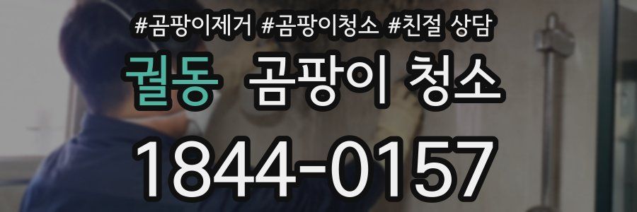 궐동 곰팡이 청소
