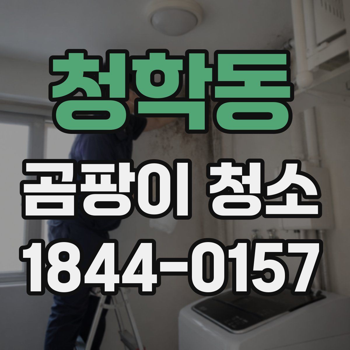 청학동 곰팡이 청소