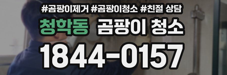 청학동 곰팡이 청소