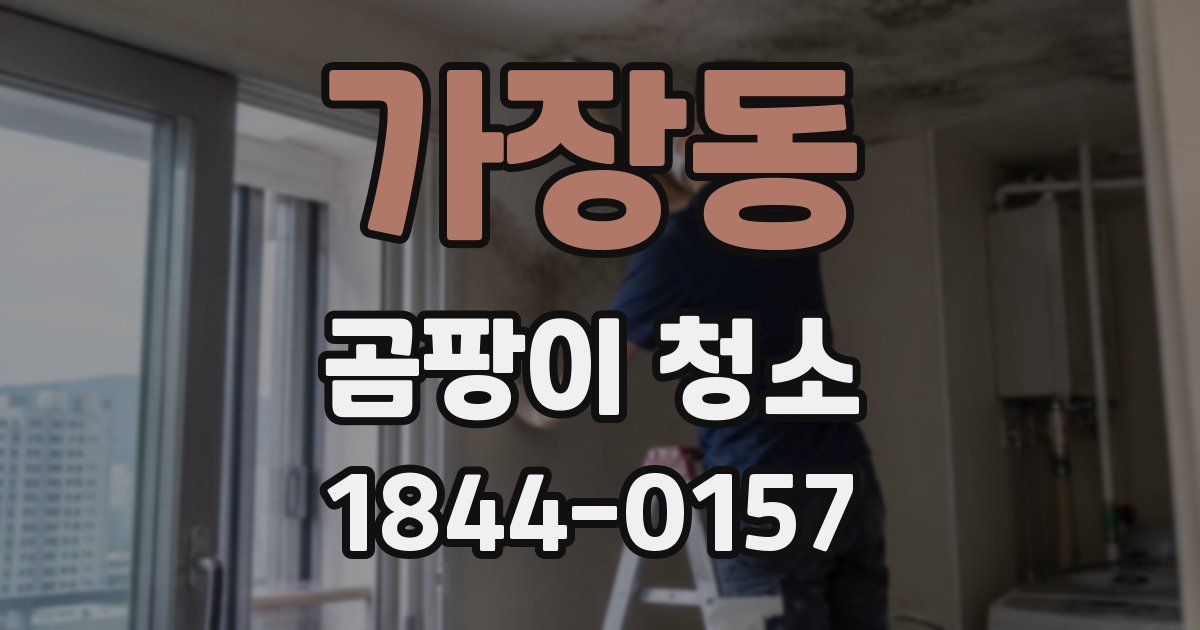 가장동 곰팡이 청소