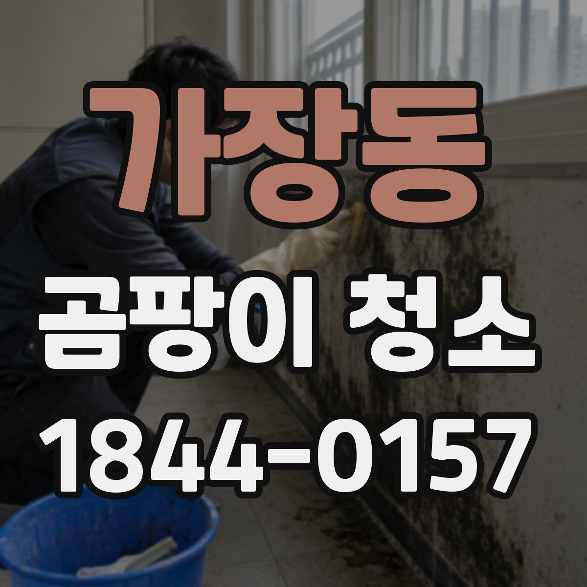 가장동 곰팡이 청소