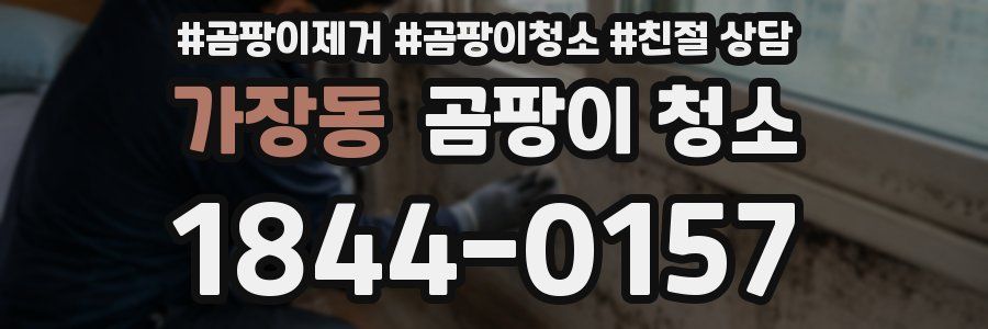 가장동 곰팡이 청소