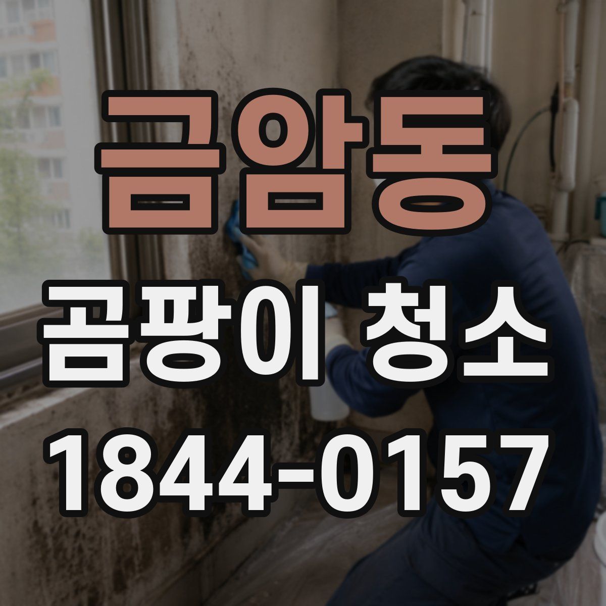금암동 곰팡이 청소