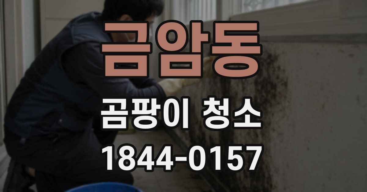 금암동 곰팡이 청소