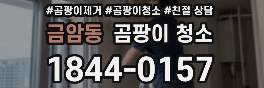 금암동 곰팡이 청소