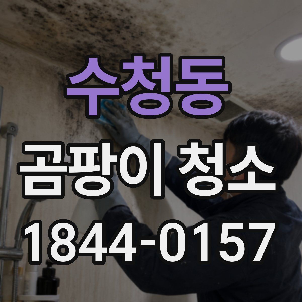 수청동 곰팡이 청소 서비스 종류와 선택 기준