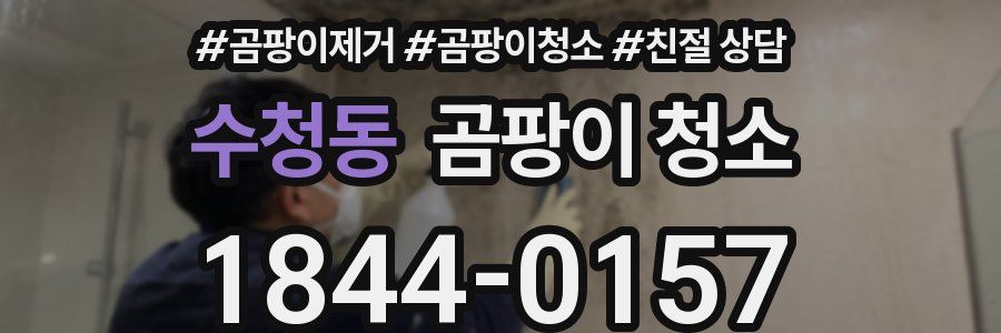 수청동 곰팡이 청소
