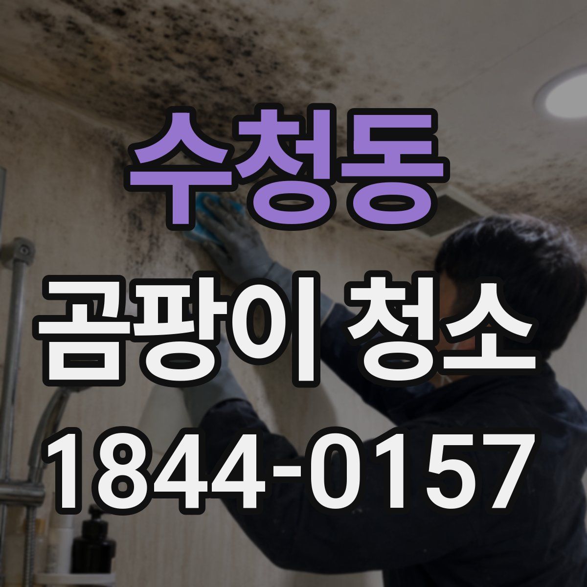 수청동 곰팡이 청소