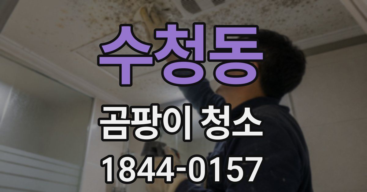 수청동 곰팡이 청소