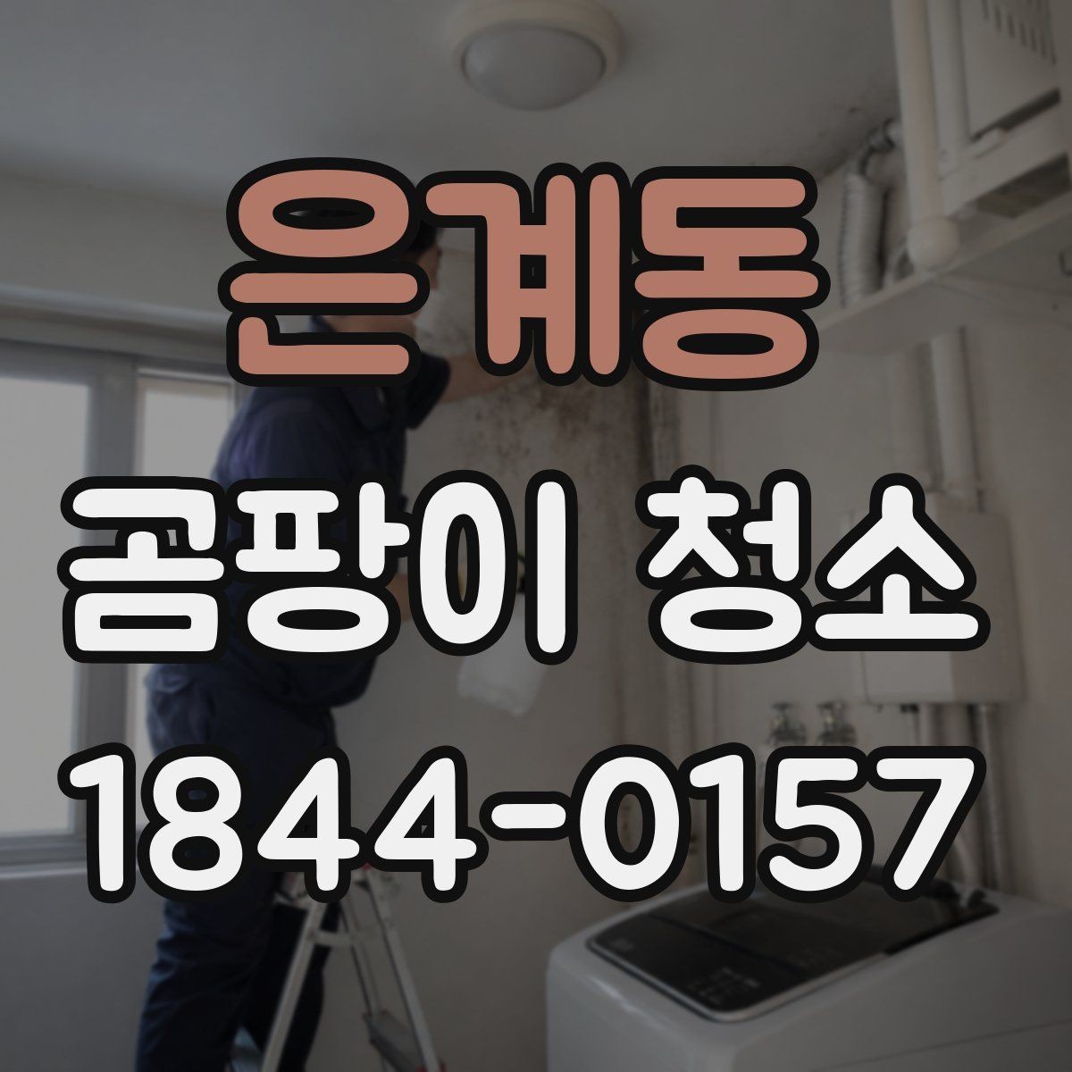 은계동 곰팡이 청소 후 다시 생기지 않게 하는 법