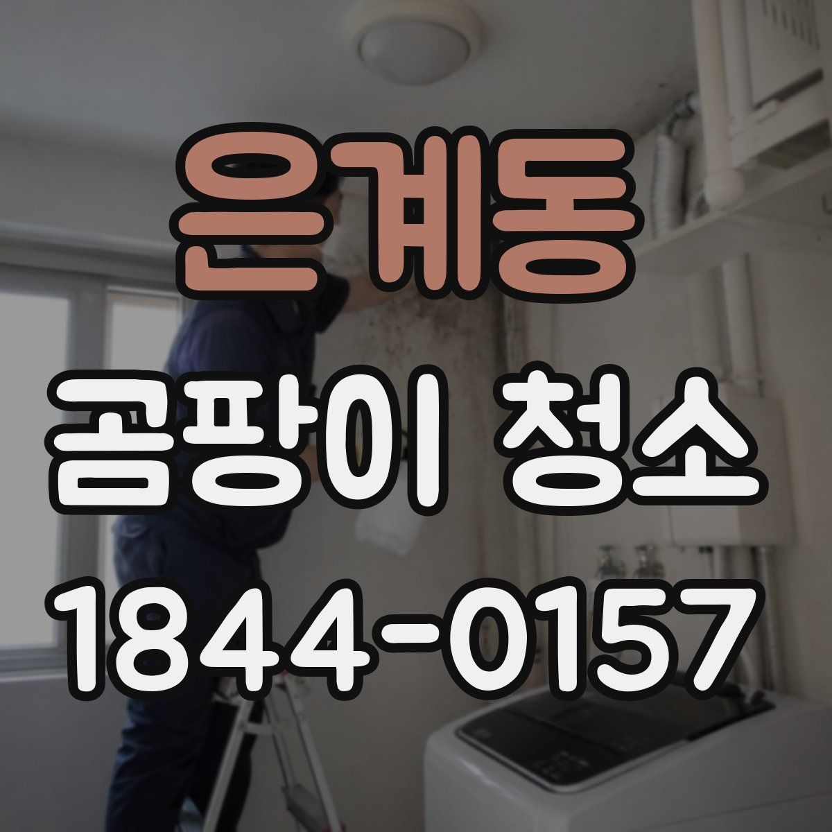은계동 곰팡이 청소