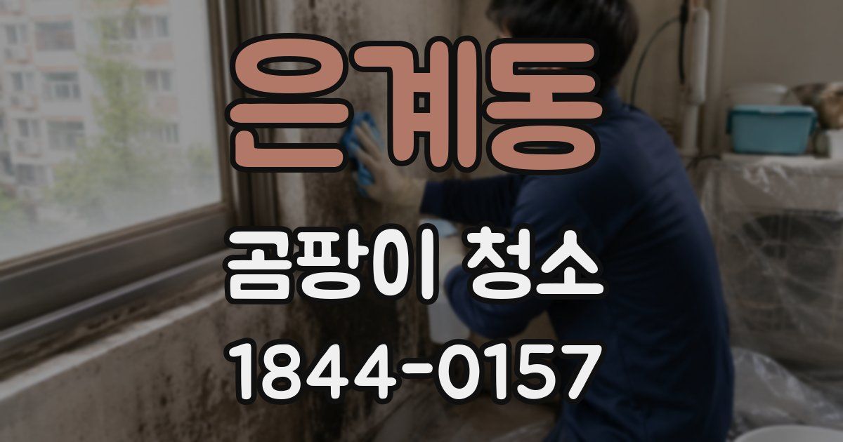 은계동 곰팡이 청소