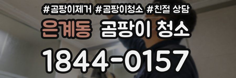 은계동 곰팡이 청소