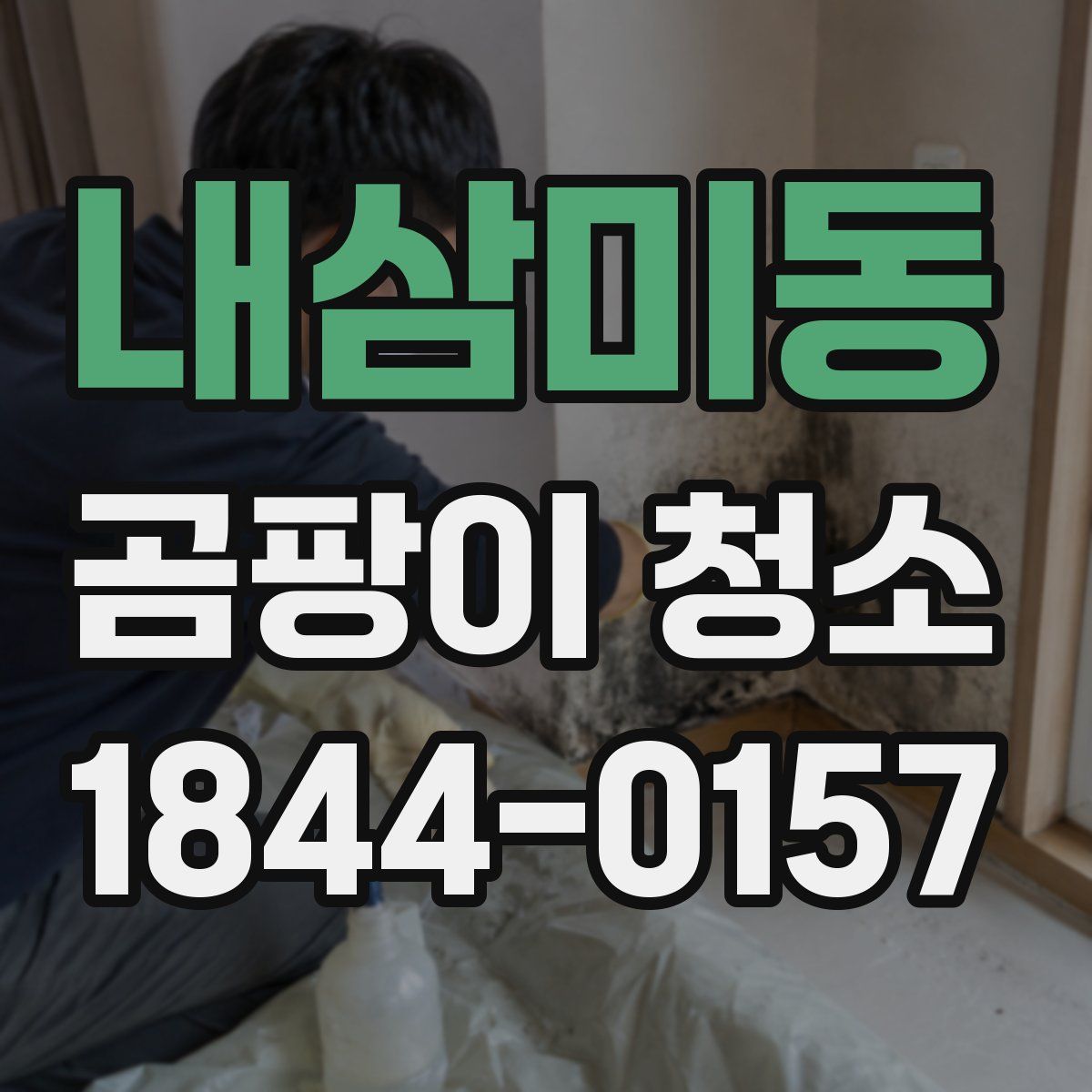 내삼미동 곰팡이 청소