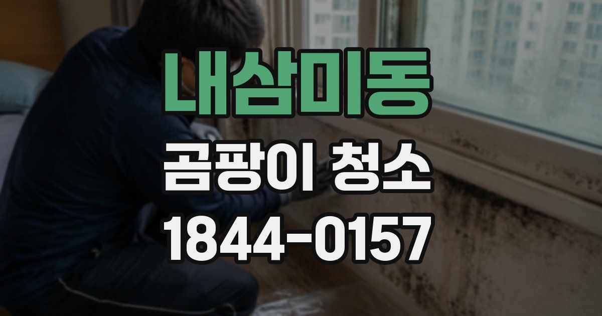 내삼미동 곰팡이 청소