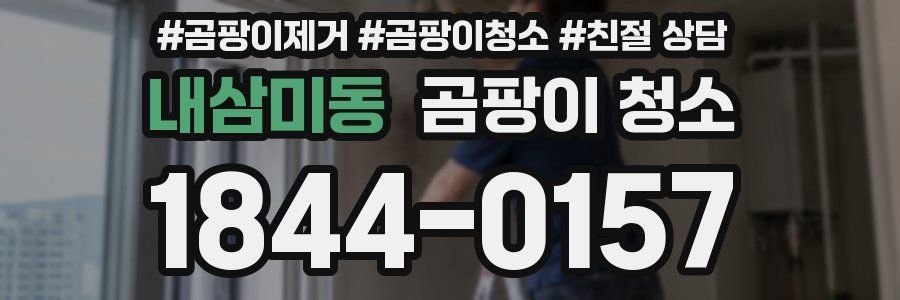 내삼미동 곰팡이 청소