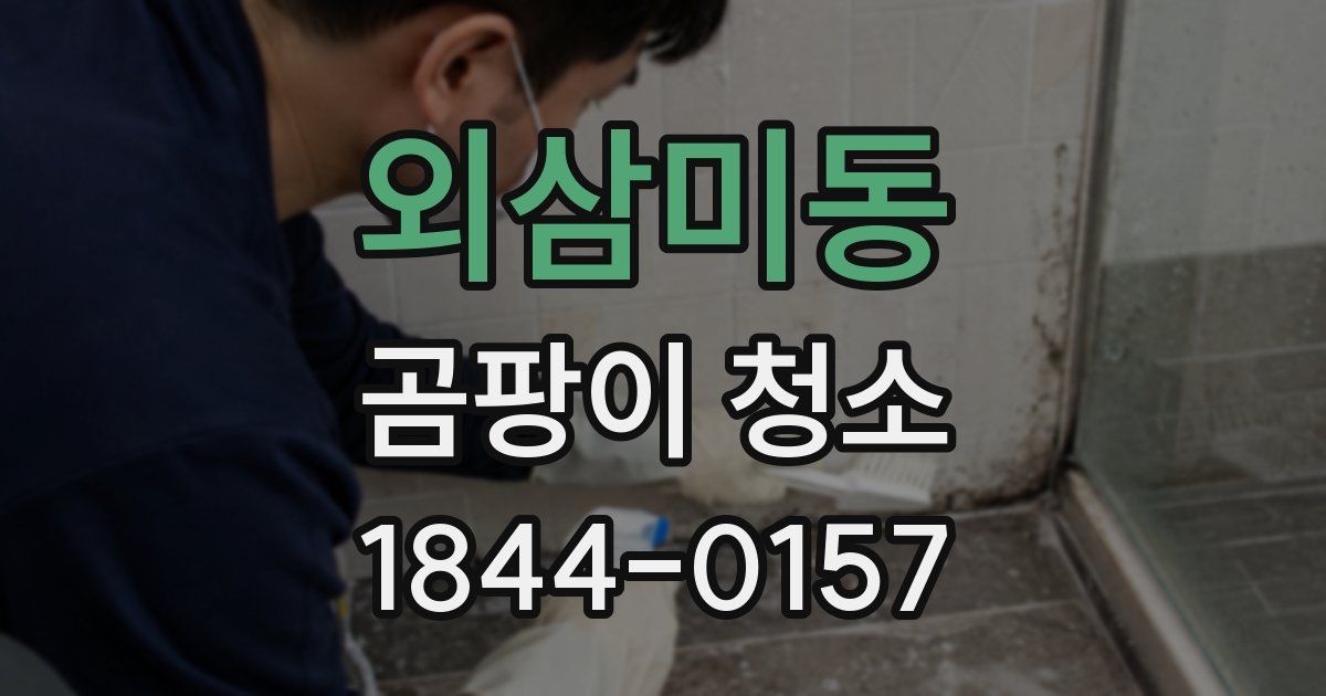 외삼미동 곰팡이 청소